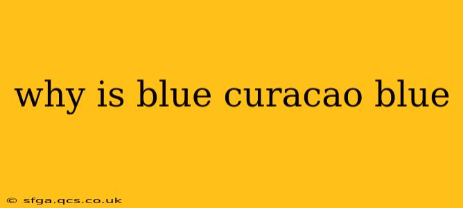 why is blue curacao blue