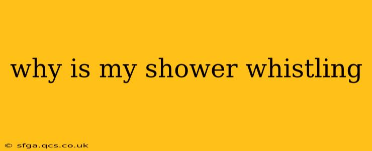why is my shower whistling