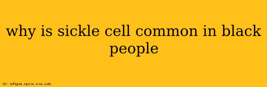 why is sickle cell common in black people