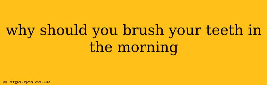 why should you brush your teeth in the morning
