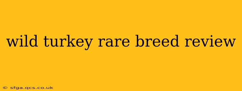 wild turkey rare breed review