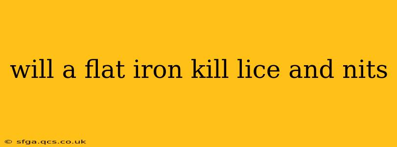 will a flat iron kill lice and nits
