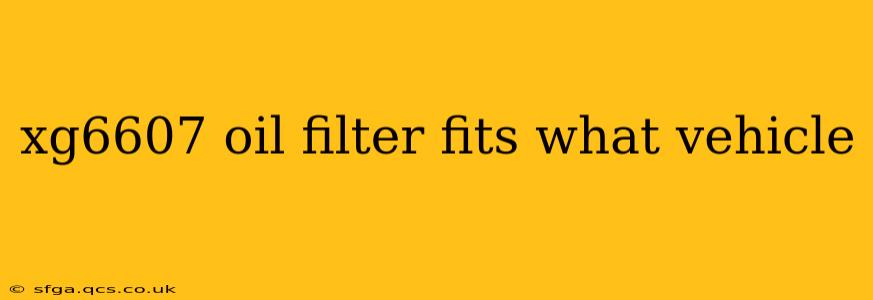 xg6607 oil filter fits what vehicle